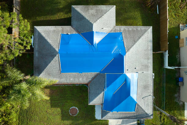 Best Skylight Installation and Repair  in Larch Y, WA